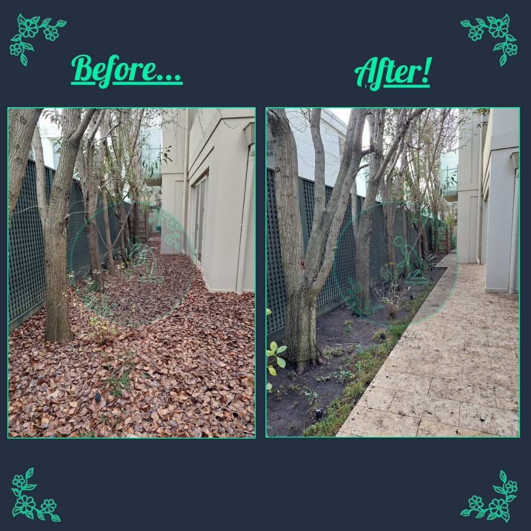 Autumn leaf clean up.