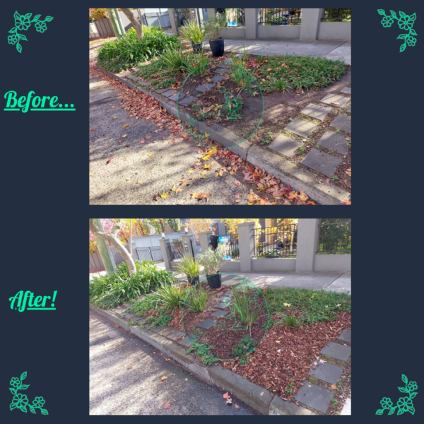 Before and after fresh mulch installation on a Melbourne nature strip