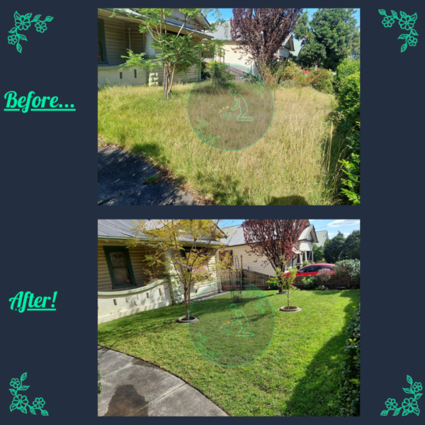 Before and after front yard garden restoration completed in Melbourne