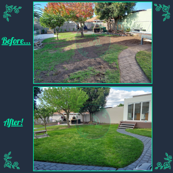 Before and after lawn repair and ongoing lawn maintenance service