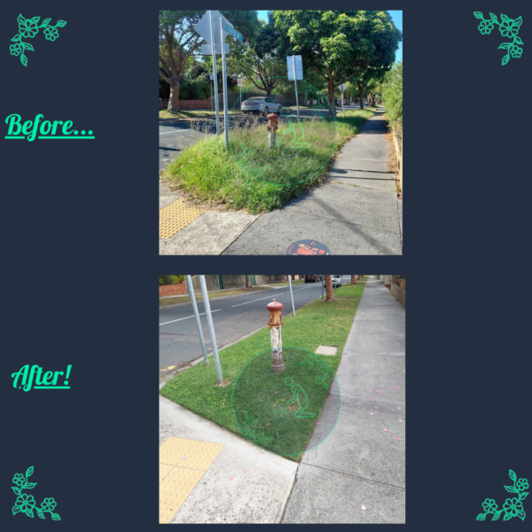 Before and after nature strip mowing and edging service in Melbourne