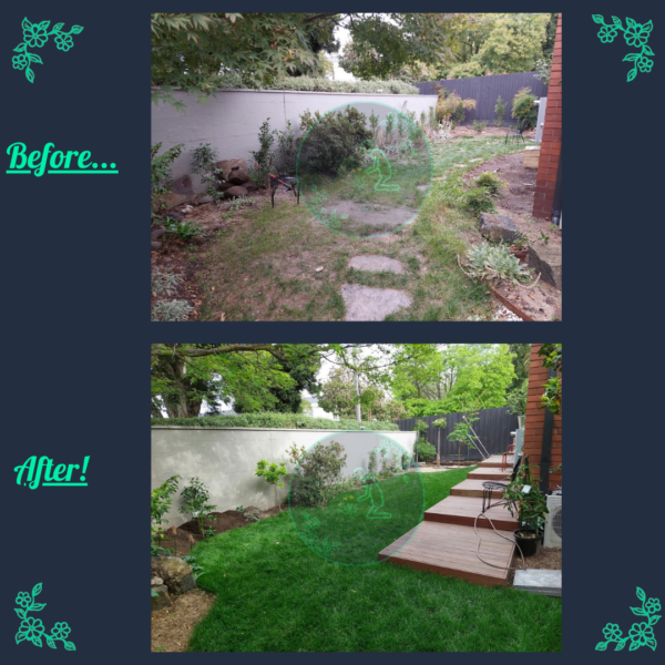 Before and after turf installation and lawn improvement in Melbourne