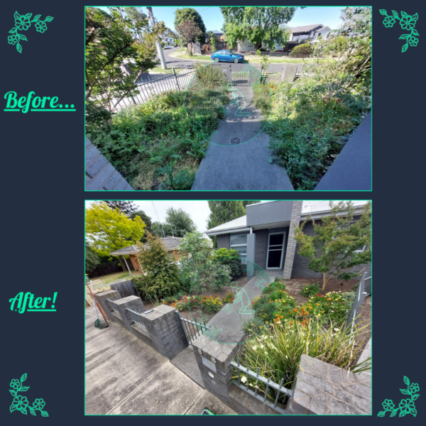 Before and after weeding and garden clean-up completed in Melbourne