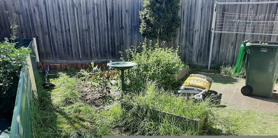 Overgrown weedy garden beds before weed management in Melbourne