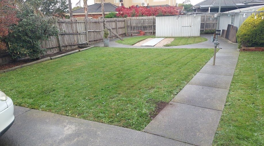 Backyard freshly mown, Melbourne