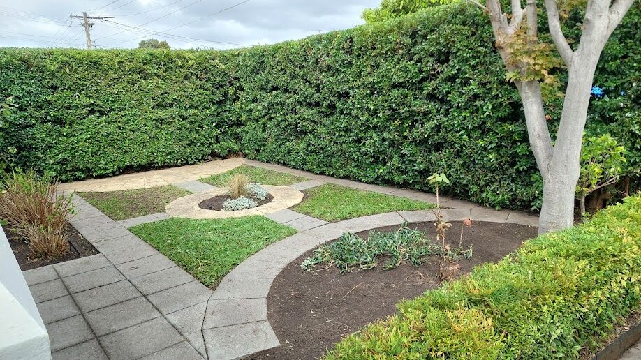 After: Formal front garden. Hedge cut back to a straight face and the lawn panels brought back to clean lines.