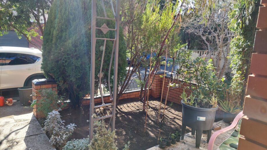 After: Front bed weeded. Grass and weed growth taken out and the bed brought back to clean soil.