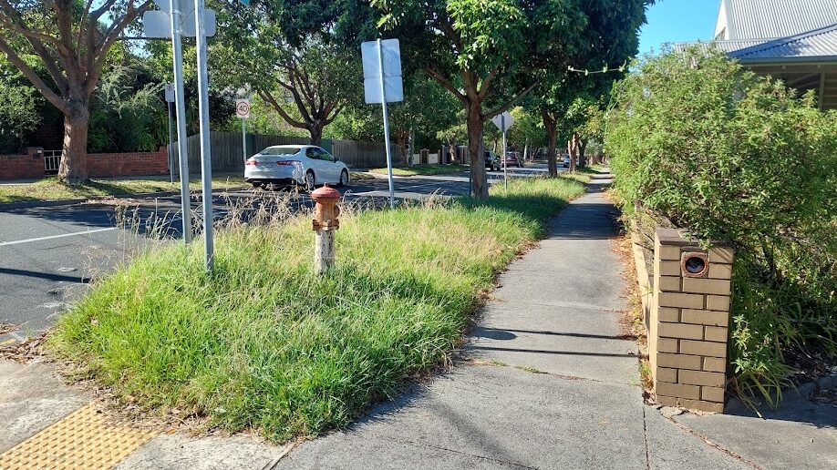 Before: Nature strip. Long grass mown back off the footpath and around the hydrant.