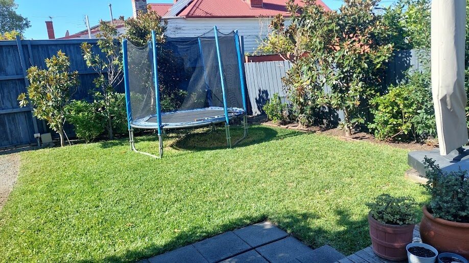 After: Back lawn. Uneven, weedy growth mown out and the edges cut back to the paving.