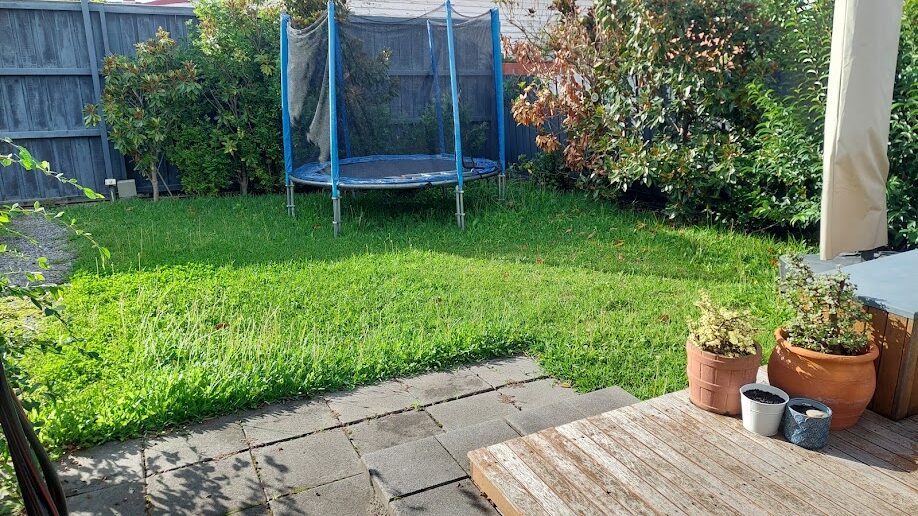 Before: Back lawn. Uneven, weedy growth mown out and the edges cut back to the paving.