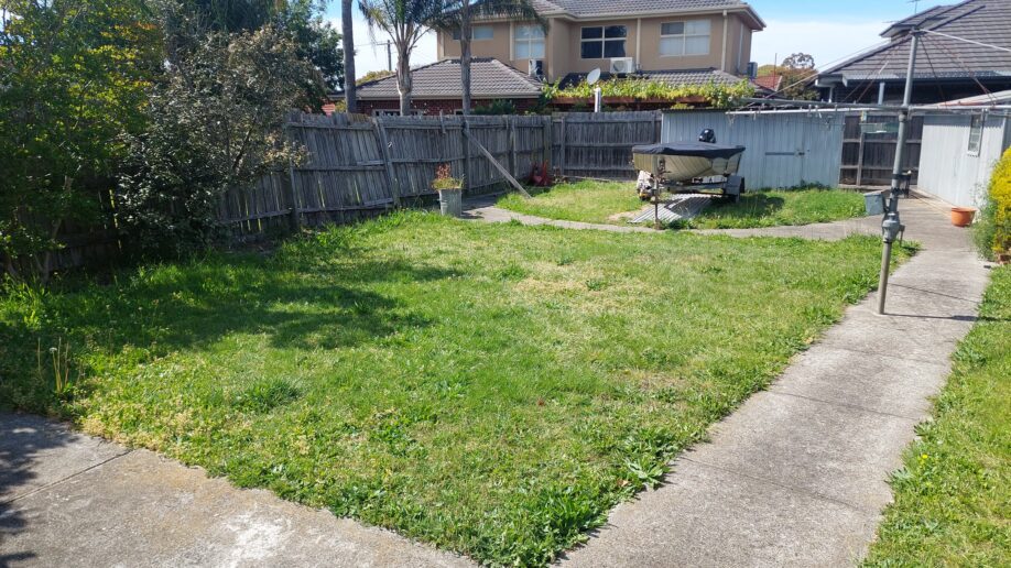 Before: Back lawn. Weed growth taken out and the lawn brought back to even cover.
