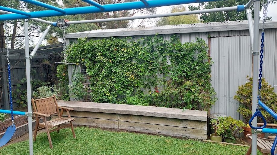 After: Climber cut back. A sprawling jasmine trimmed flat to the wall and the bench seat cleared.