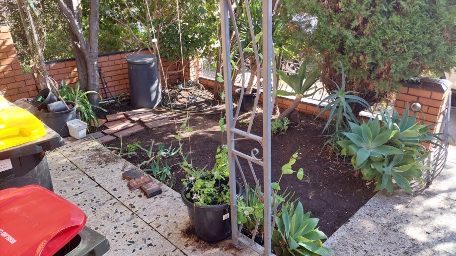 After: Courtyard clean up. Weeds and clutter cleared and the bed turned over, keeping the established succulents.