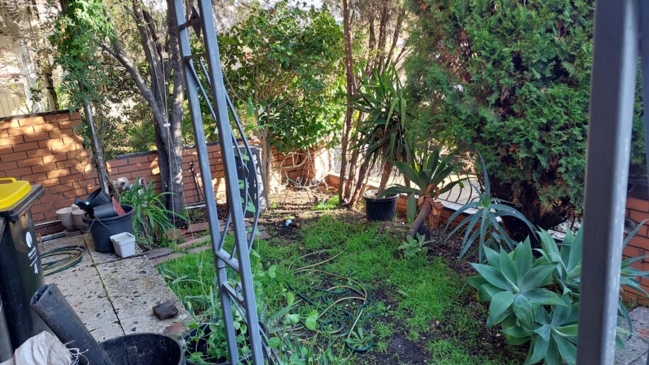 Before: Courtyard clean up. Weeds and clutter cleared and the bed turned over, keeping the established succulents.