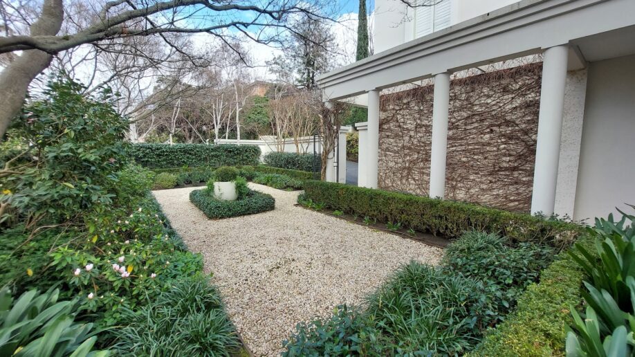After: Formal courtyard. Deep autumn leaf fall cleared off the gravel and the box hedging.