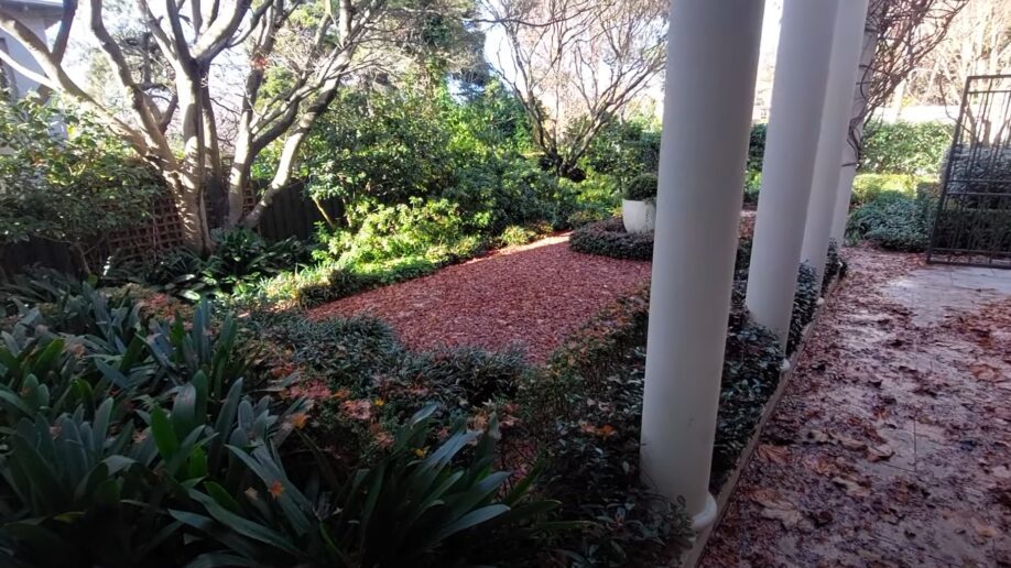 Before: Formal courtyard. Deep autumn leaf fall cleared off the gravel and the box hedging.