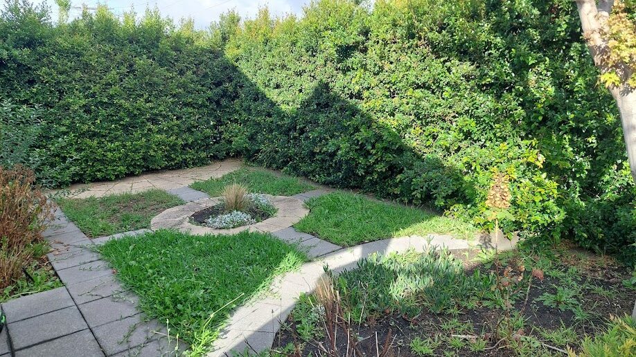 Before: Formal front garden. Hedge cut back to a straight face and the lawn panels brought back to clean lines.