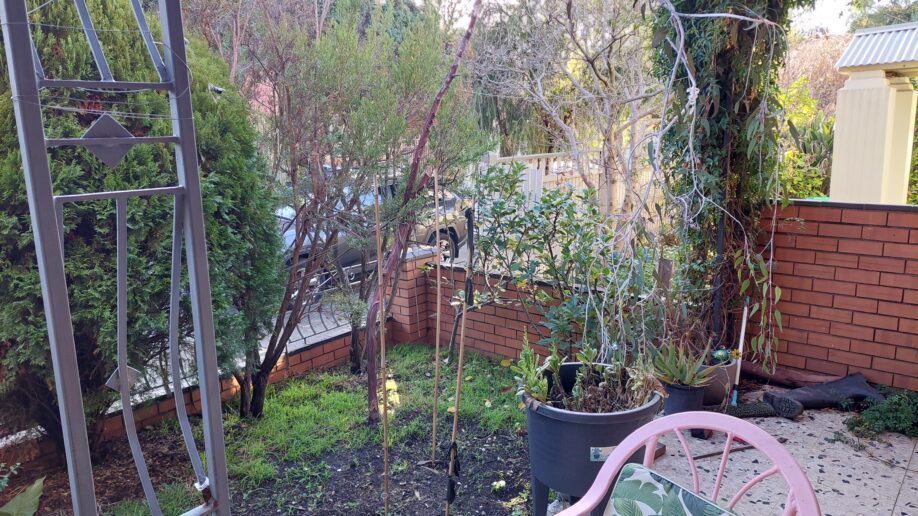 Before: Front bed weeded. Grass and weed growth taken out and the bed brought back to clean soil.