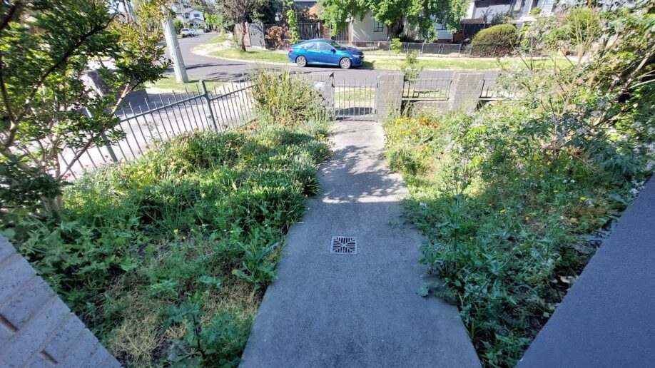 Before: Front garden weeded and mulched. Beds cleared of weed growth and topped with fresh mulch.