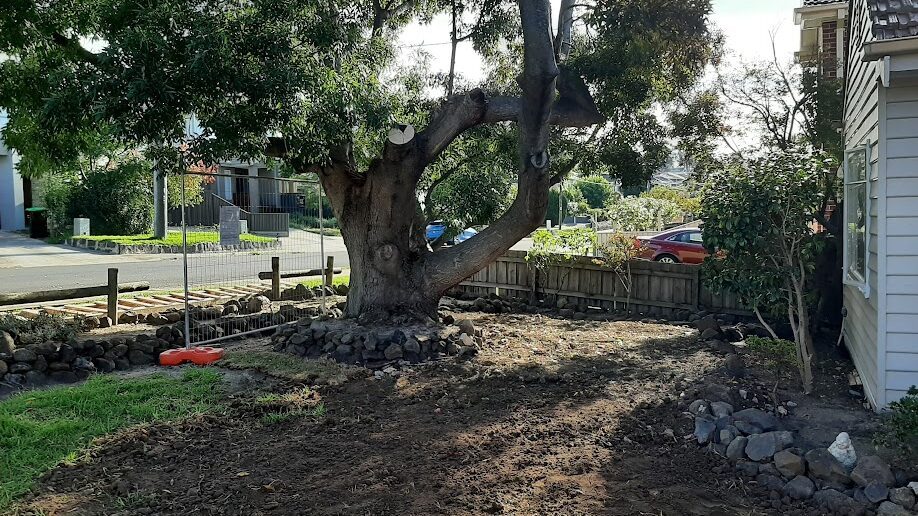 Before: Front lawn established. Bare, dug-over ground brought back to full, even lawn.