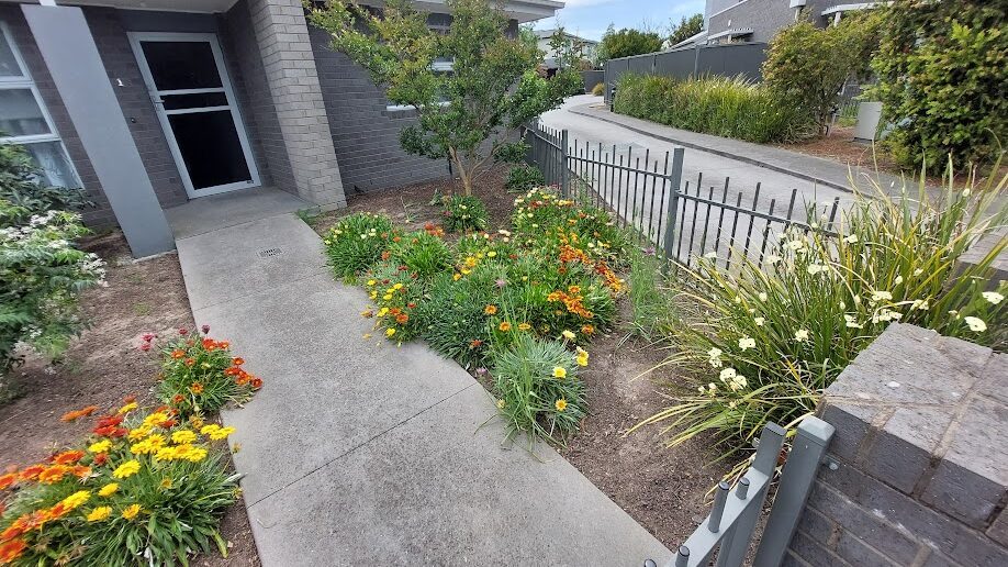 Before: Bed topped up. Bare soil between the plantings covered with fresh mulch.