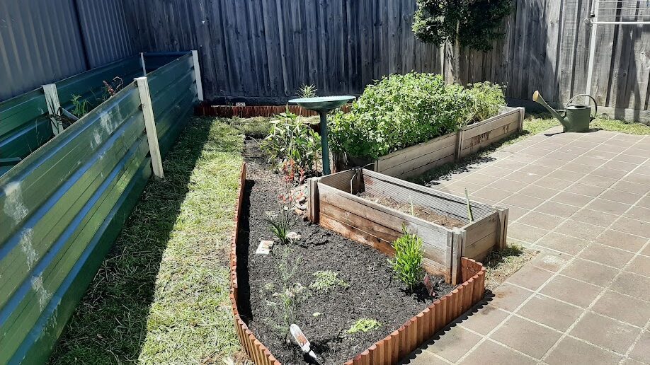 After: Garden beds reset. Overgrown beds cleared and re-edged, then the soil turned over and replanted.