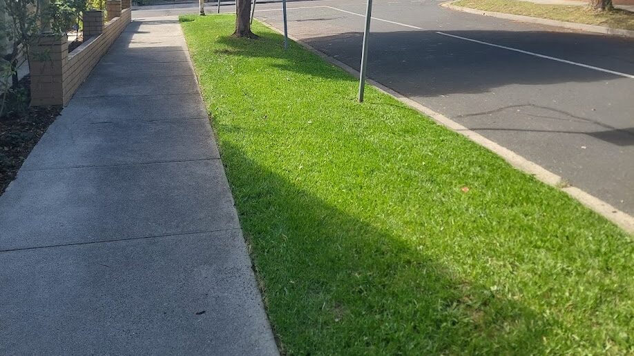 After: Nature strip cleared. Overgrown grass mown and the leaf litter taken off the footpath.