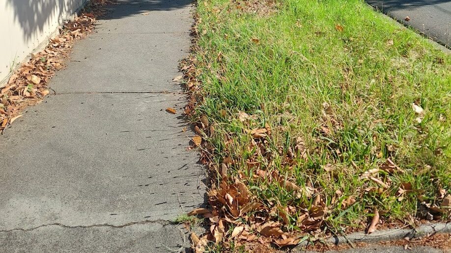 Before: Nature strip cleared. Overgrown grass mown and the leaf litter taken off the footpath.