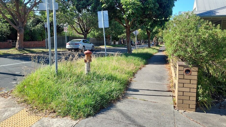 Before: Nature strip. Long grass mown back off the footpath and around the hydrant.