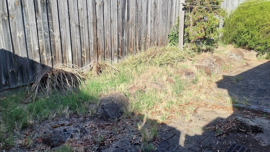 Before: Paving and bed edge. Weeds cleared out of the paving and the bed mulched back to a clean line.