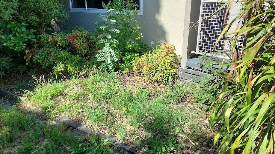 Before: Side bed recovered. Grass and weeds cleared out of the bed and the edging re-laid.