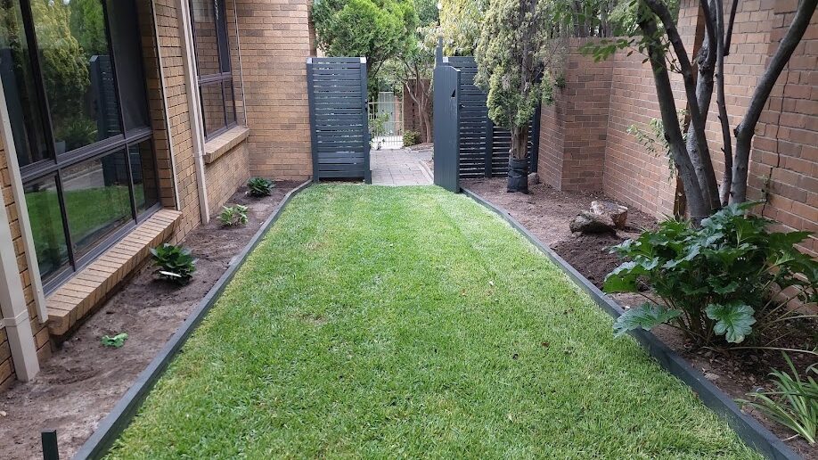 After: Side lawn recovered. Long, unmown grass cut back and the edges re-cut against the beds.